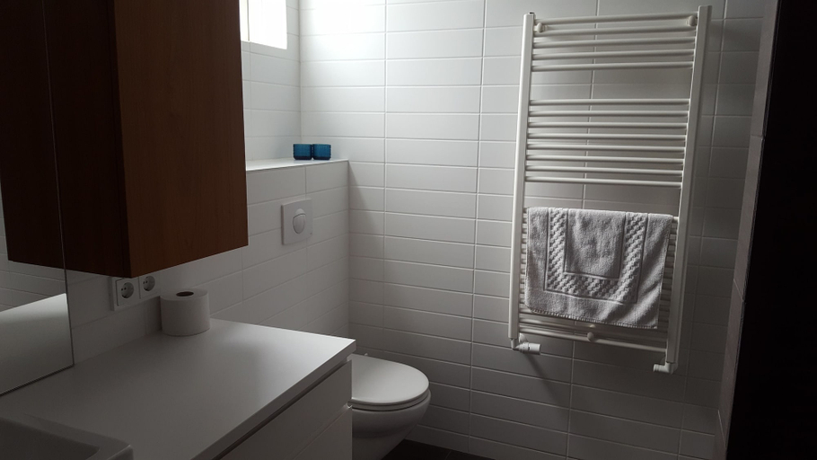 Bathroom 3, Seyðisfjörður Apartment, Seyðisfjörður