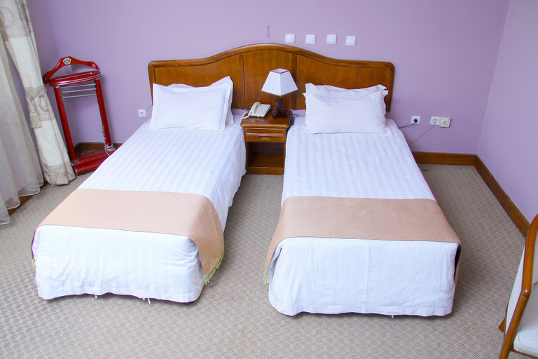Bedroom 2, Damu Hotel, Addis Abeba