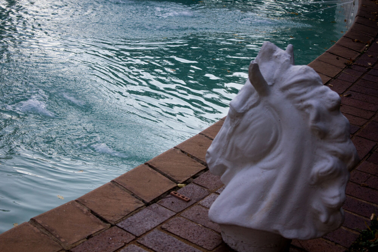 Sport & Beauty 3, Horse's Neck Guest Lodge, City of Johannesburg