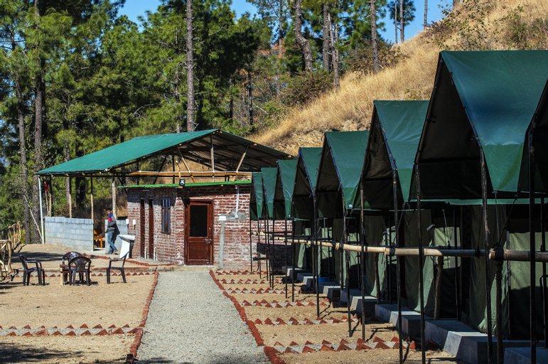 Jungle Stays, Solan