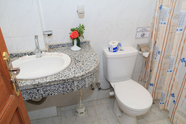 Bathroom 5, Amon Hotel, Luxor