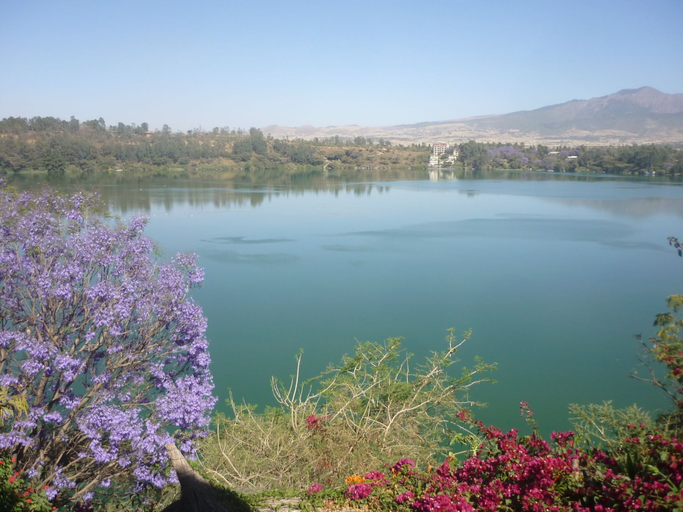 Others 5, Babogaya Lake Viewpoint Lodge, Misraq Shewa