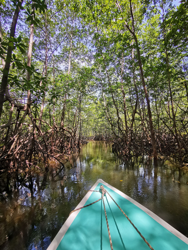 Sport & Beauty 5, Aguila de Osa Rainforest & Marine Adventure Lodge, Osa