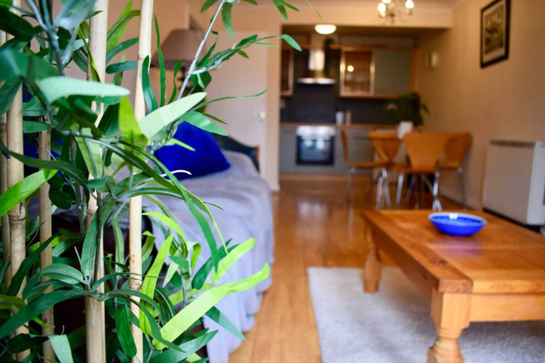 Others 3, 2 Bedroom Apartment Beside Merrion Square, Dublin