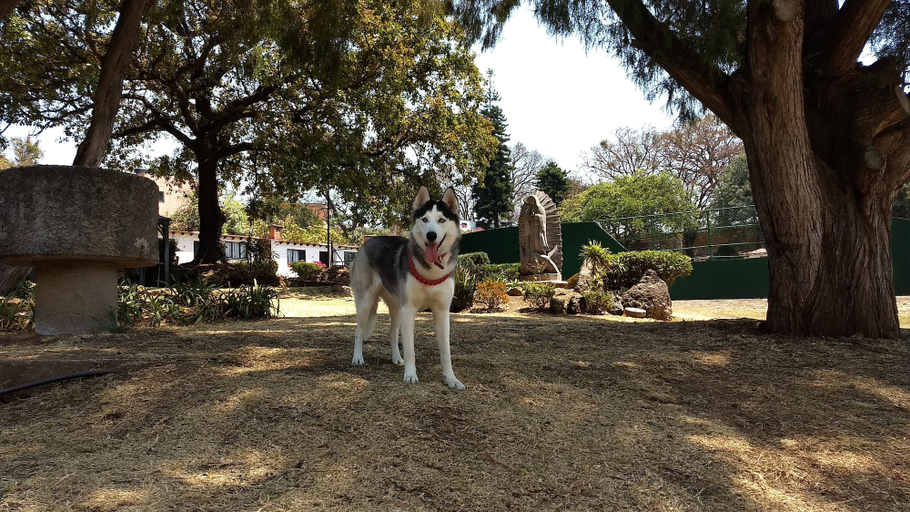 Others 4, Club Santa Maria, Huitzilac