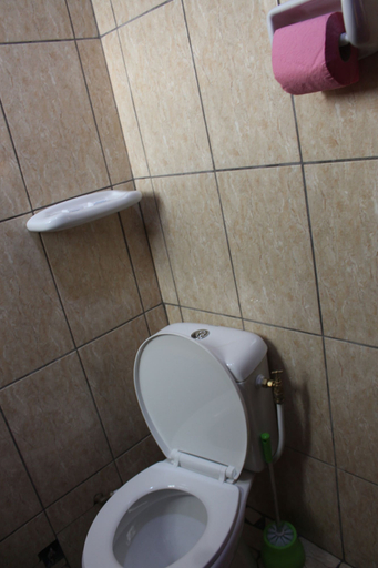 Bathroom 3, Ndancy Hotel, Mvila