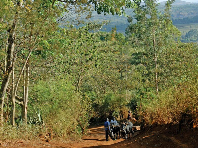 Others 5, Ganako Luxury Lodge, Karatu