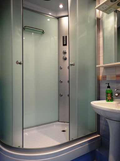 Bathroom 3, Inndays Sportivnaya, Western