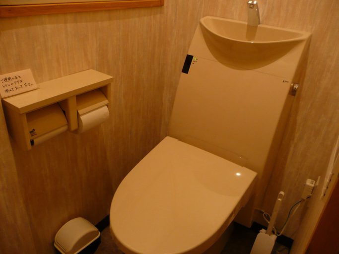 Bathroom 4, Seisenso, Nozawaonsen