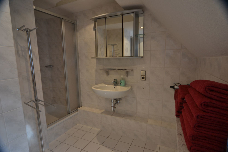 Bathroom 3, Sunside Oase Apartment's Wellness Schwarzwald am Schluchsee, Breisgau-Hochschwarzwald