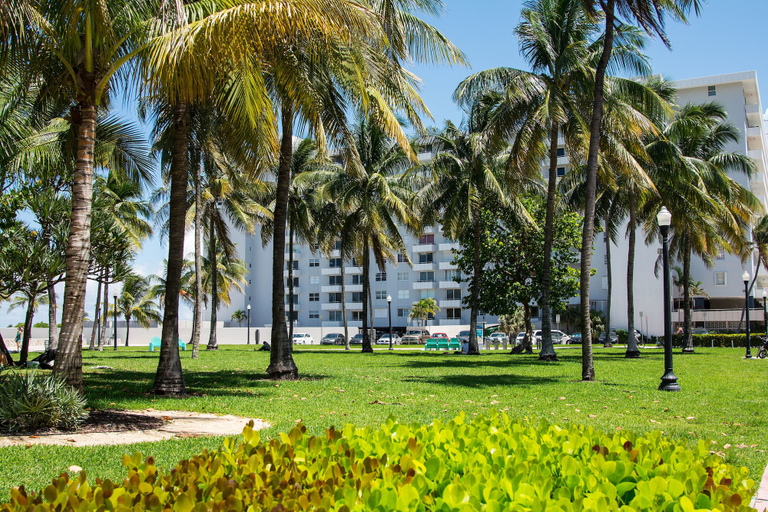 Exterior & Views, 335 Ocean Walk Apartments, Miami-Dade