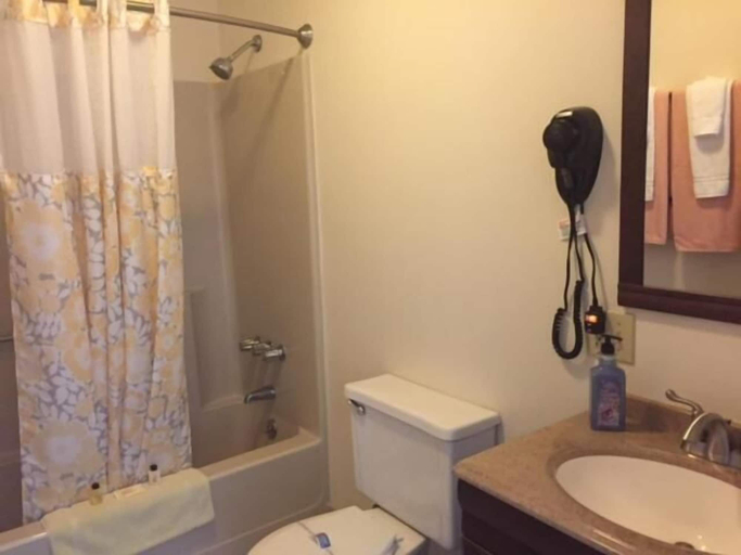 Bathroom 4, Milford Motel On The River, Penobscot
