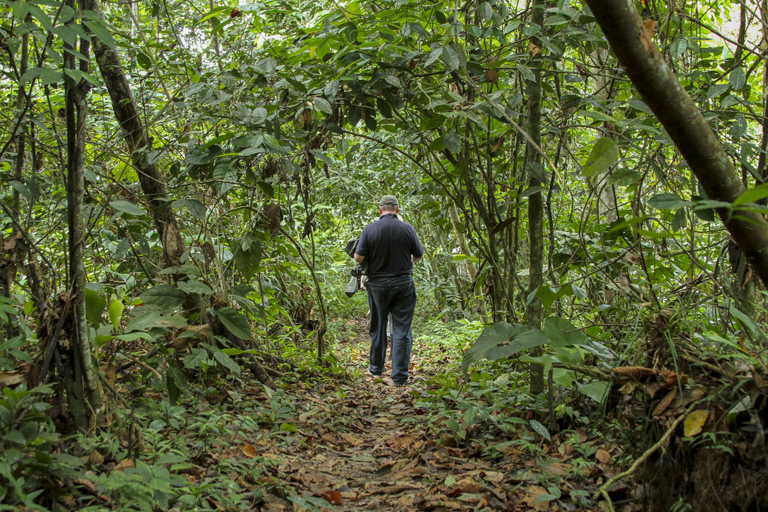Others 4, Jungle Experiences Zafiro, Loreto