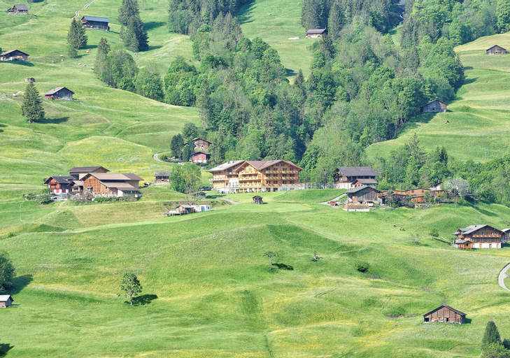 Others 16