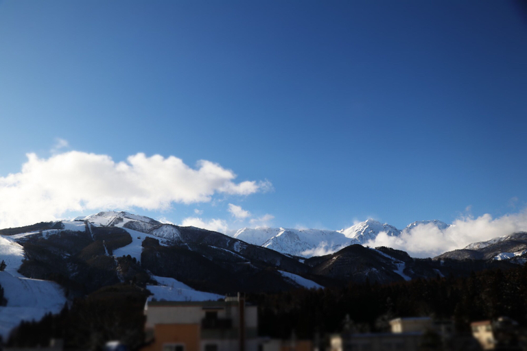 Others 5, Murano Hotel Shinya, Hakuba
