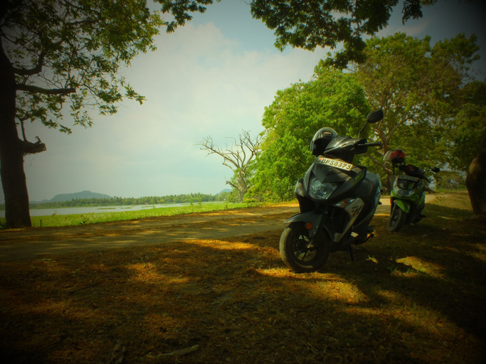 Others 5, Jungle House Yala, Thissamaharama