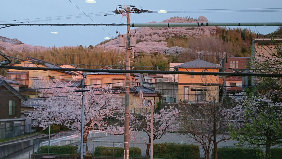 Others 5, Kanazawaya, Kanazawa