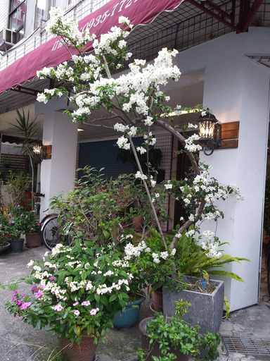 Exterior & Views 2, Guan Lun Hotel, Hualien