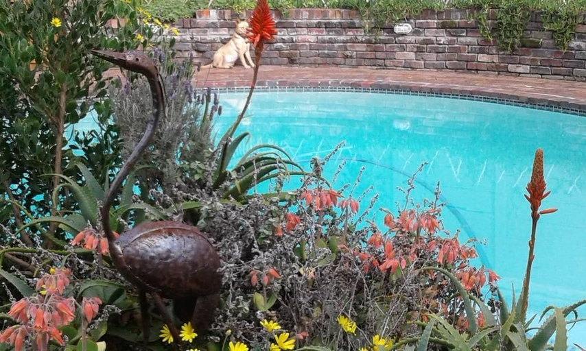 Sport & Beauty, Cozy Quirky Cottage, City of Cape Town