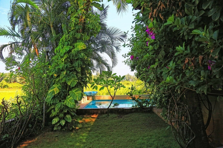 Others 5, The Acacia Villa - Candy Floss, North Goa