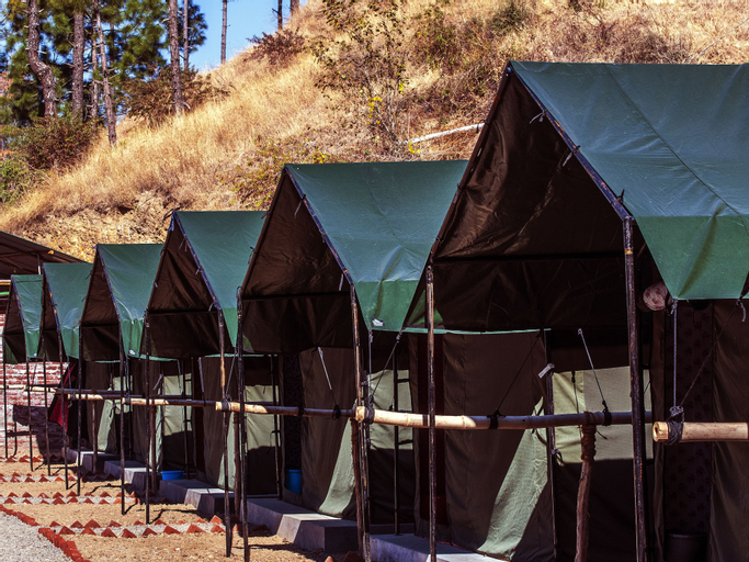 Others 5, Jungle Stays, Solan
