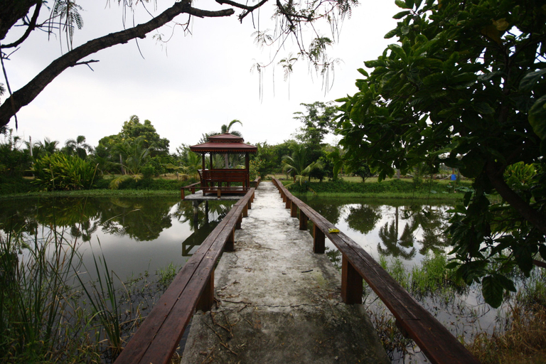 Exterior & Views 2, Baan Suan View Dee Homestay, K. Khlong Khuan