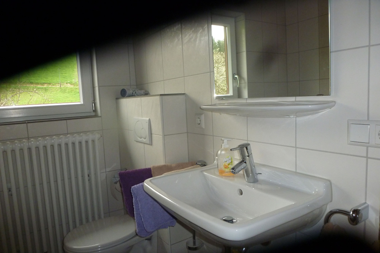 Bathroom 5, Rommelehof, Ortenaukreis