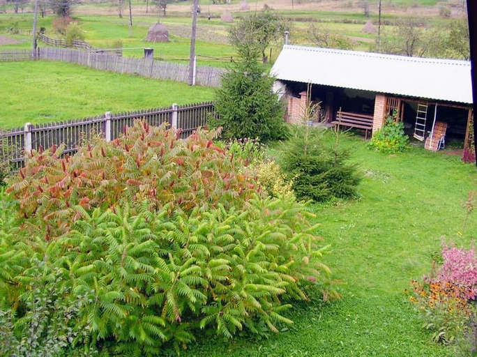 Others 4, Green tourism, Skolivs'kyi