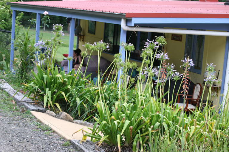 Exterior & Views 2, Arcadia Retreat, Lake Macquarie - West