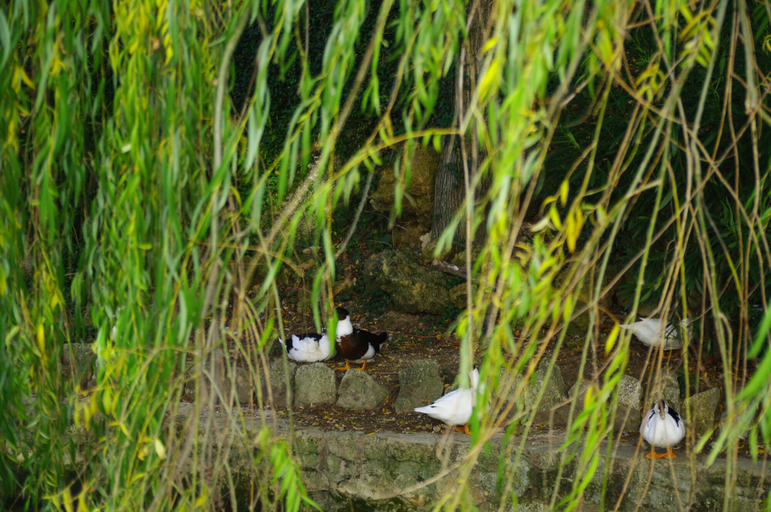 Others 5, Vivienda Rural Rio Cerezuelo, Jaén