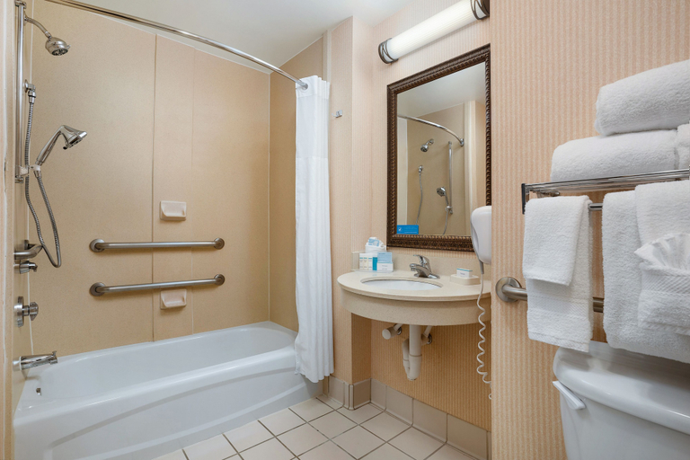 Bathroom 4, Hampton Inn by Hilton Springfield, Robertson