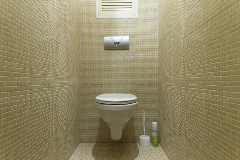 Bathroom 3, Apartment on Belkina 8B, Tula