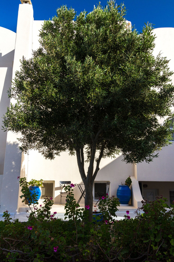 Exterior & Views 2, Sea Sound - White Katikies, South Aegean