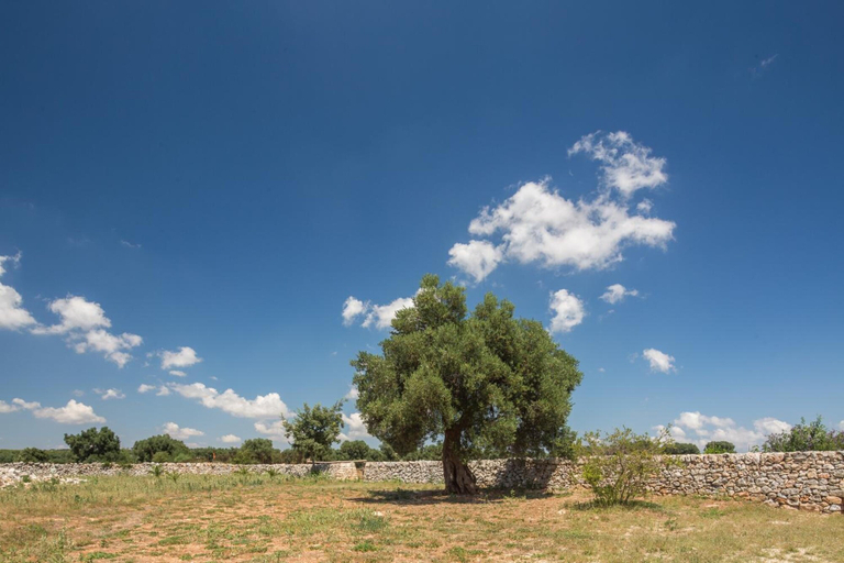 Others 5, Masseria Castelluzzo, Brindisi