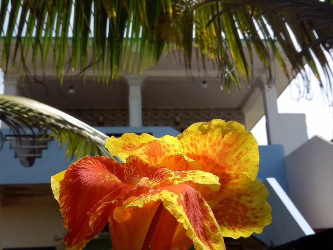 Others 4, Githmini Beach Guest House & Toures, Hikkaduwa