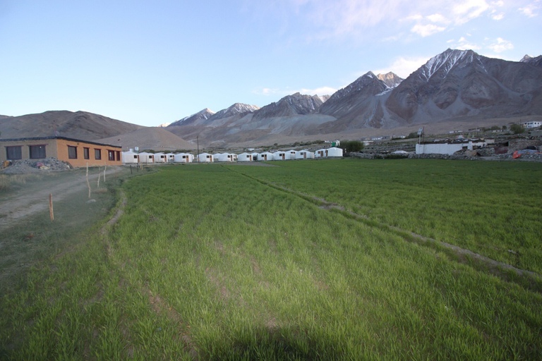 Others 4, Pangong Sarai, Leh