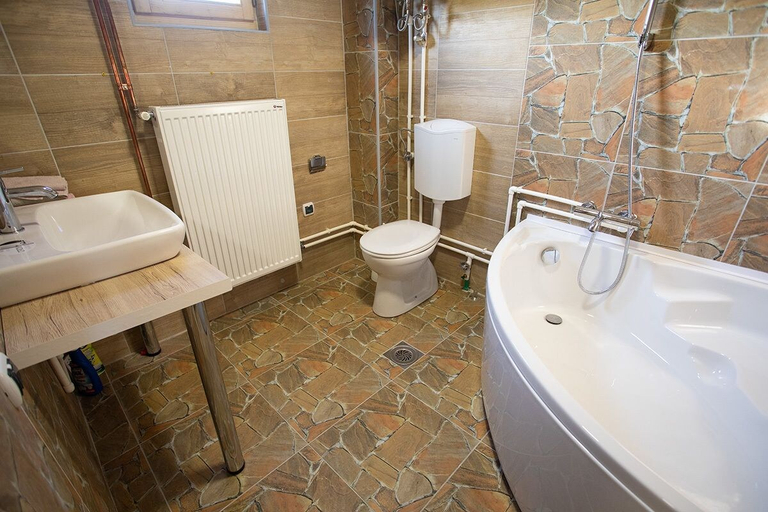 Bathroom 2, Brvnare Mir Zlatibor, Čajetina