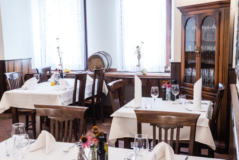 Food & Drinks 5, Guesthouse Bistra, Borovnica