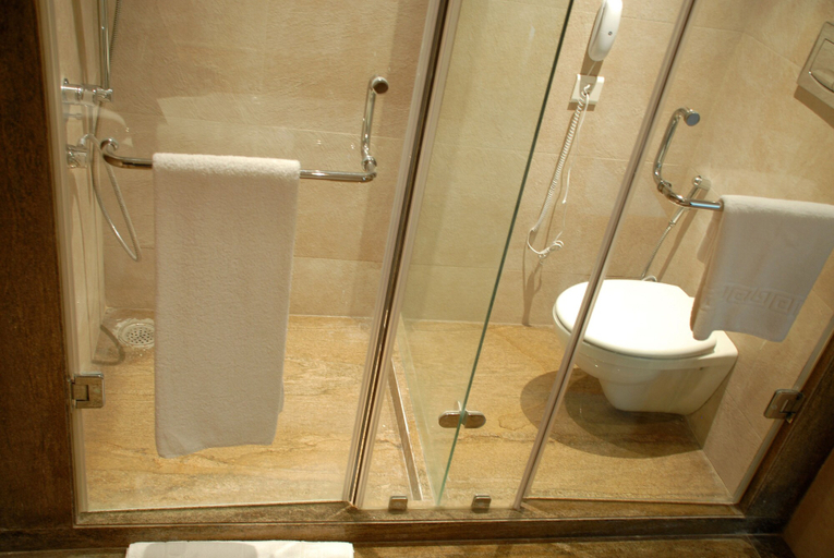 Bathroom 5, Cambay Grand, Jaipur