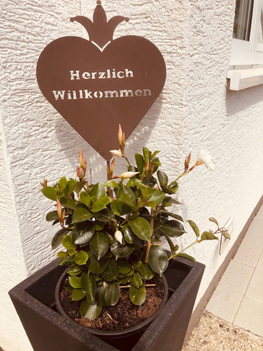 Exterior & Views, Ferienweingut Peter-Jos. Hauth, Bernkastel-Wittlich