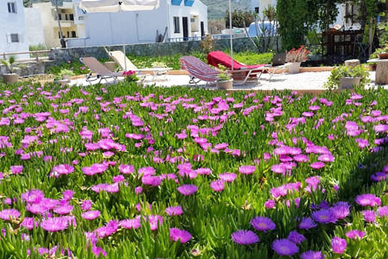 Exterior & Views 2, SEAesta Beach Studios, Crete