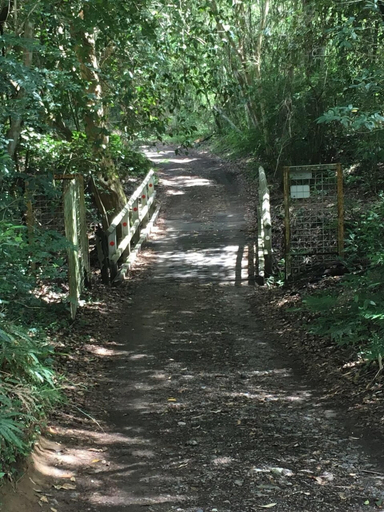 Others 5, Arcadia Retreat, Lake Macquarie - West