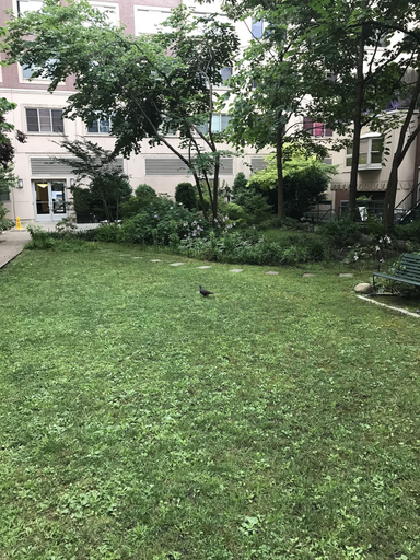 Others 5, My Favorite Place-NYC-Shared Apartment, New York