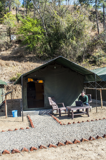 Others 5, Jungle Stays, Solan