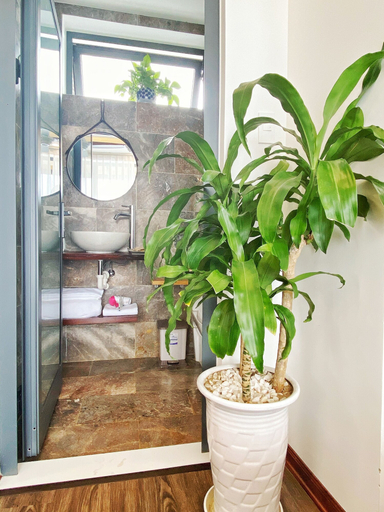 Bathroom 4, Hoi An Cabbage Garden, Da Nang