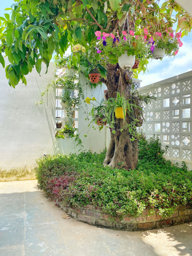 Exterior & Views 2, Hoi An Cabbage Garden, Da Nang