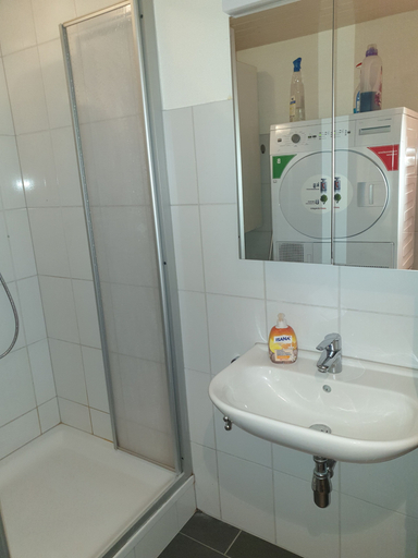 Bathroom 3, 3 Bedroom Apartment in Arbon, Arbon