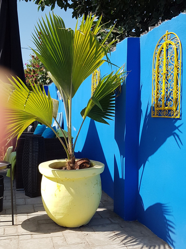 Others 2, Camara Gardens Apartments with Pool, Kombo Saint Mary