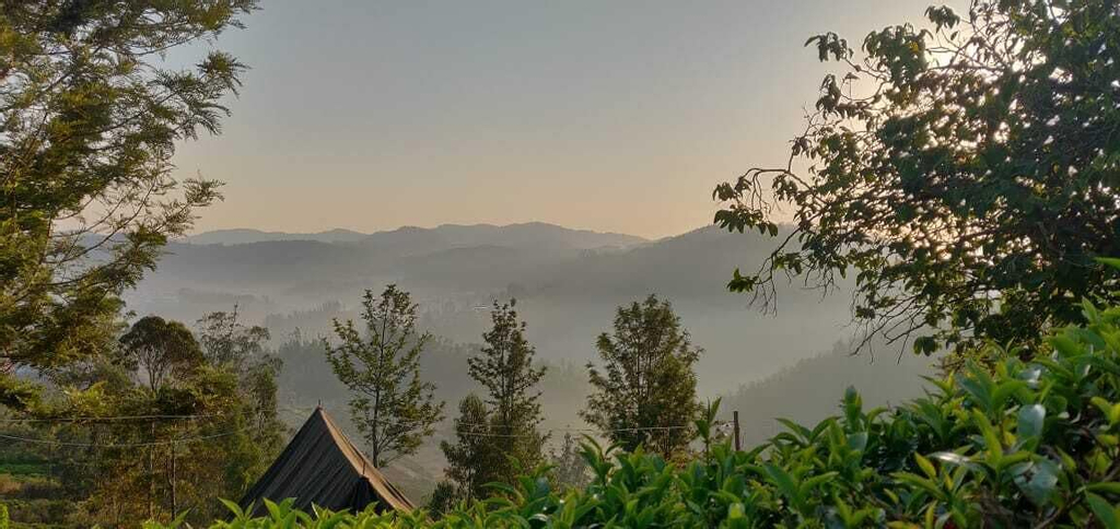 Janardan Tea Resort - Campsite, The Nilgiris