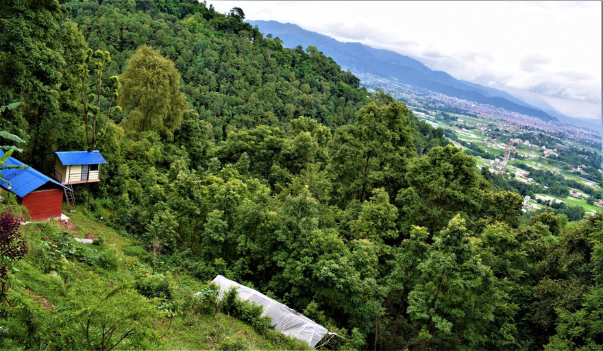 Others 4, Jungle Crown Organic Homestay, Bagmati